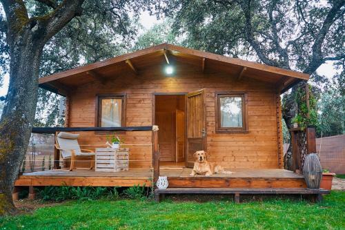 Apartamento Villa Experience Rural