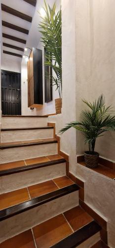 Apartamento El Atajo