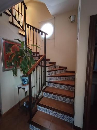 Chalet Adosado En Rinc�n