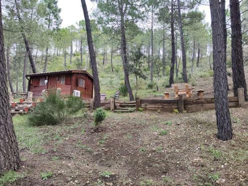 Caba�a Los Chorros
