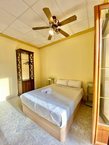 Apartamentos Abeto