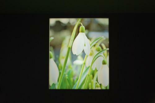 Hotel H�tel Les Perce-neige