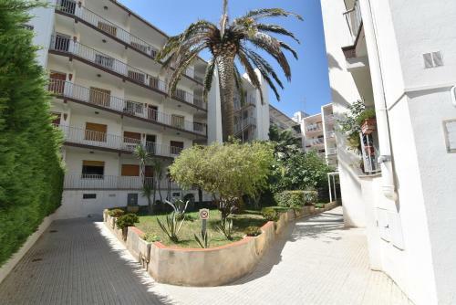 Apartamento Rnet - La Solana 68