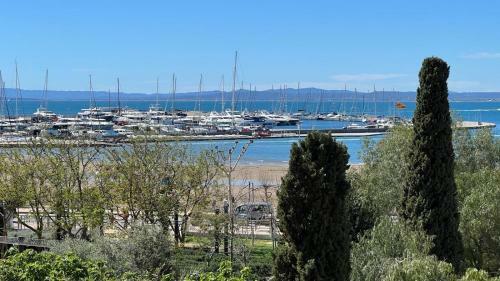 Apartamento Frente Al Mar Roses