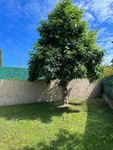 Apartamento Piso Con Jard�n En Ribadeo