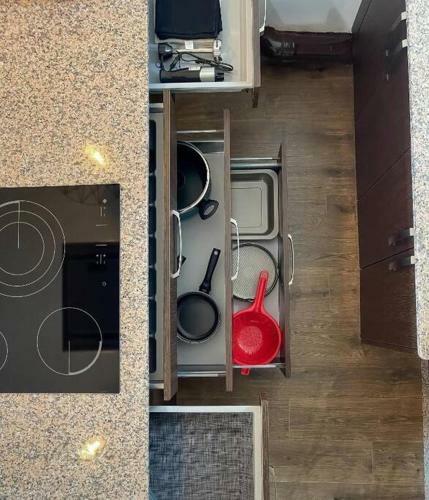 Apartamento Vista C�es