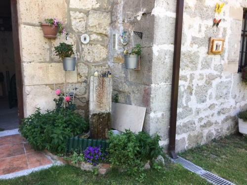 Hostal Boomerang Cottage B&B