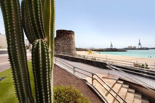 Apartamento Puerto Playa 2