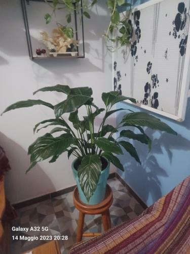 Habitaciones Gioly