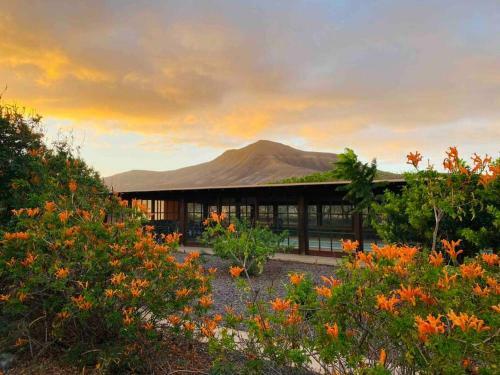Apartamento Erbania Heritage, Naturally