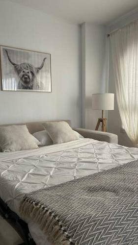 Fisco Apartamento