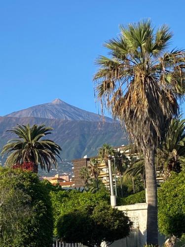 Villa Oasis La Paz - Pelicar Apartment - Adults Only -