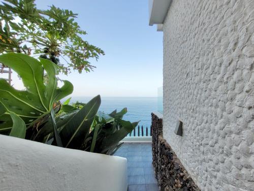 Apartamento Bellavista Mar