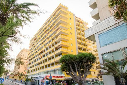 Apartamento Live Puerto de La Cruz Las Palmeras