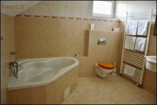 Hostal Penzion Star� Dvur