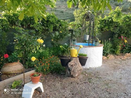 Vivienda Rural Bel�n