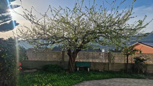Apartamentos Lubians