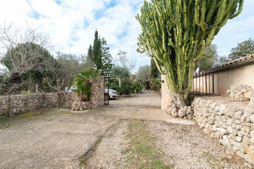 Villa Can Camarroja