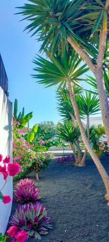 Villa Fedelian 2 Playa Blanca