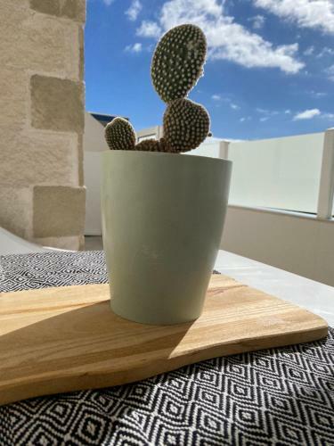 Apartamento La Terraza