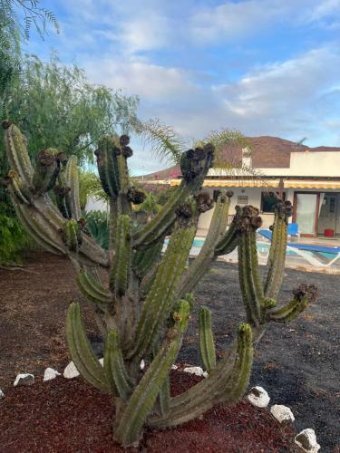 Villa Chlo�