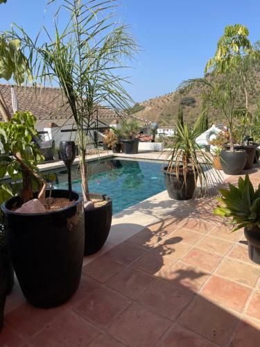 Apartamento Casita Oasis