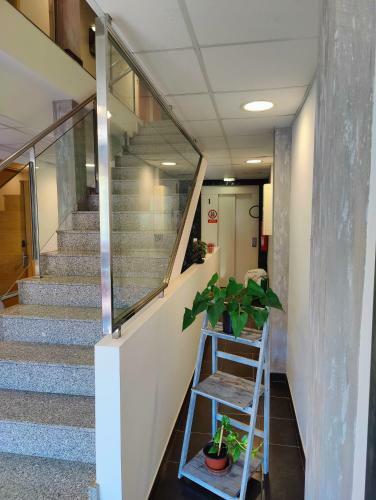 Hostal Manel