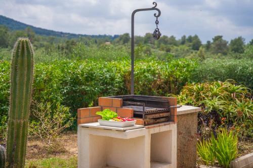 Agroturismo Ideal Property Mallorca - Son Perxa