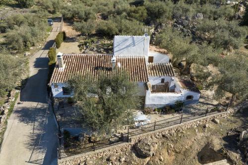 Cortijo Salva