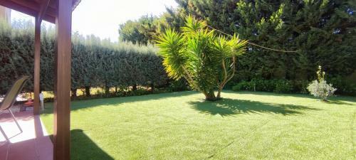 Tabarca Chalet Con Jard�n Y Piscina Comunitaria