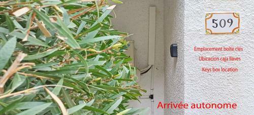 Apartamento Bungalow Le Petit Chat