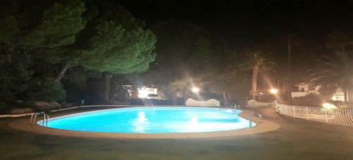 Apartamento Bungalow Le Petit Chat