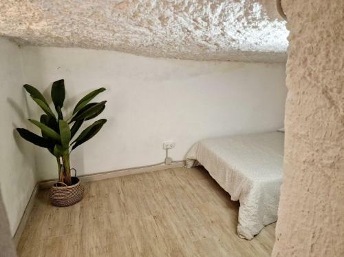 Apartamento Preciosa Casa-cueva Con Jacuzzi