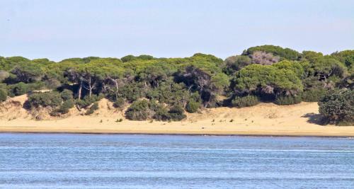Casa Playa De Mazag�n