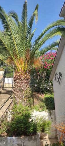 Chalet Sol Y Sombra