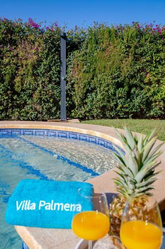 Villa Palmera