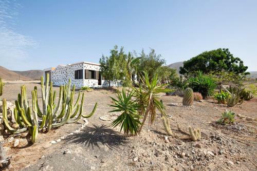 Apartamento La Solapa