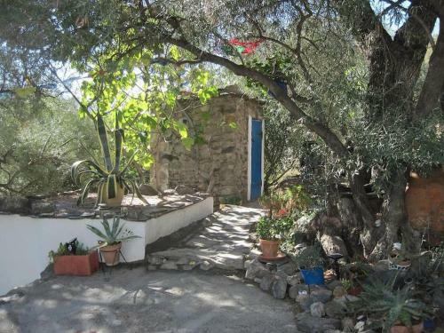 Charming, Tranquil Rustic Cortigo