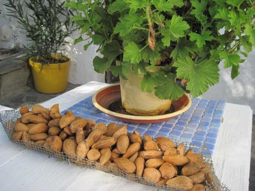 Charming, Tranquil Rustic Cortigo