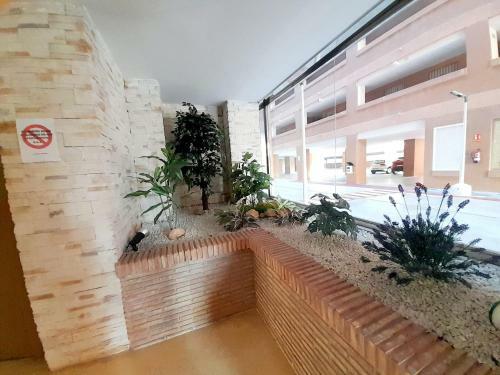 Apartamento Vistamar Dreams, 1� Linea Playa Amplaries
