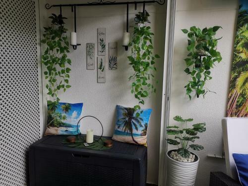Apartamento Gaviota