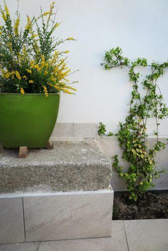 Bed & Breakfast Tom�, Casa De Hu�spedes