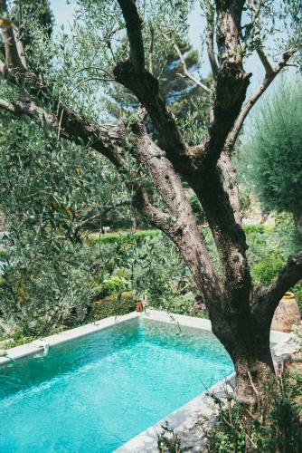 Bed & Breakfast Les Ros�es