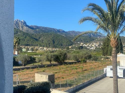 Lovely Apartment Orba Alicante