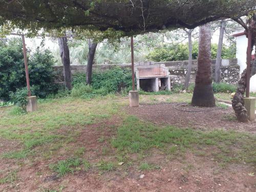 Anacasa Oliva Partida Canyaes Ch752