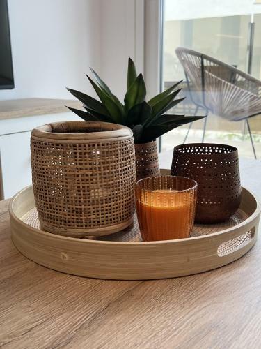 Apartamento Perla Oliva Nova