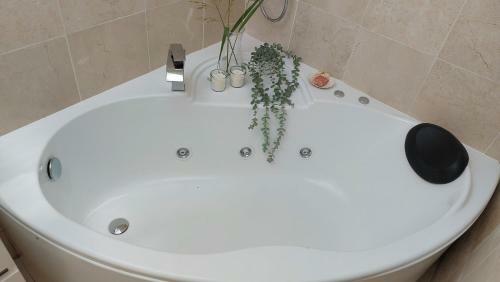 Apartamento D�plex Bellas Vistas