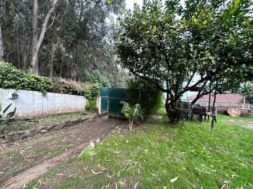 Finca Las Bimbas
