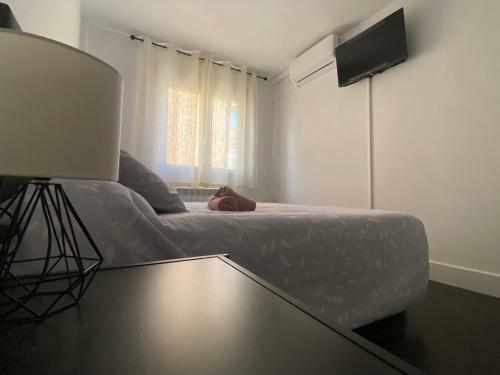 Apartamento Vut Nohales Home