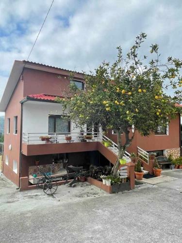 Apartamento Alojamiento Rovi